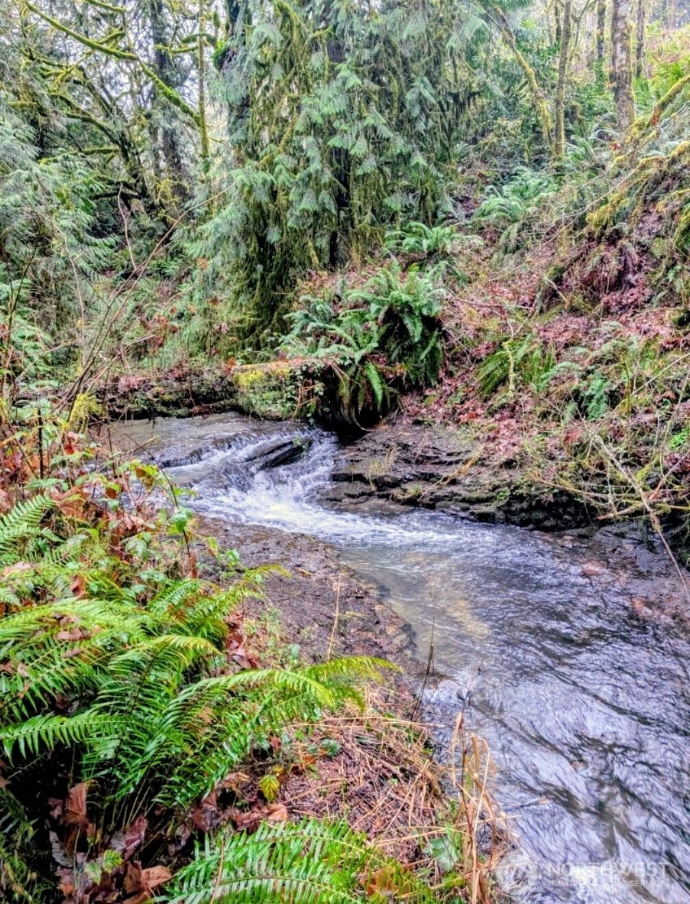 2549 Hazel Dell Road Castle Rock, WA 98611 - Photo 30 of 37
