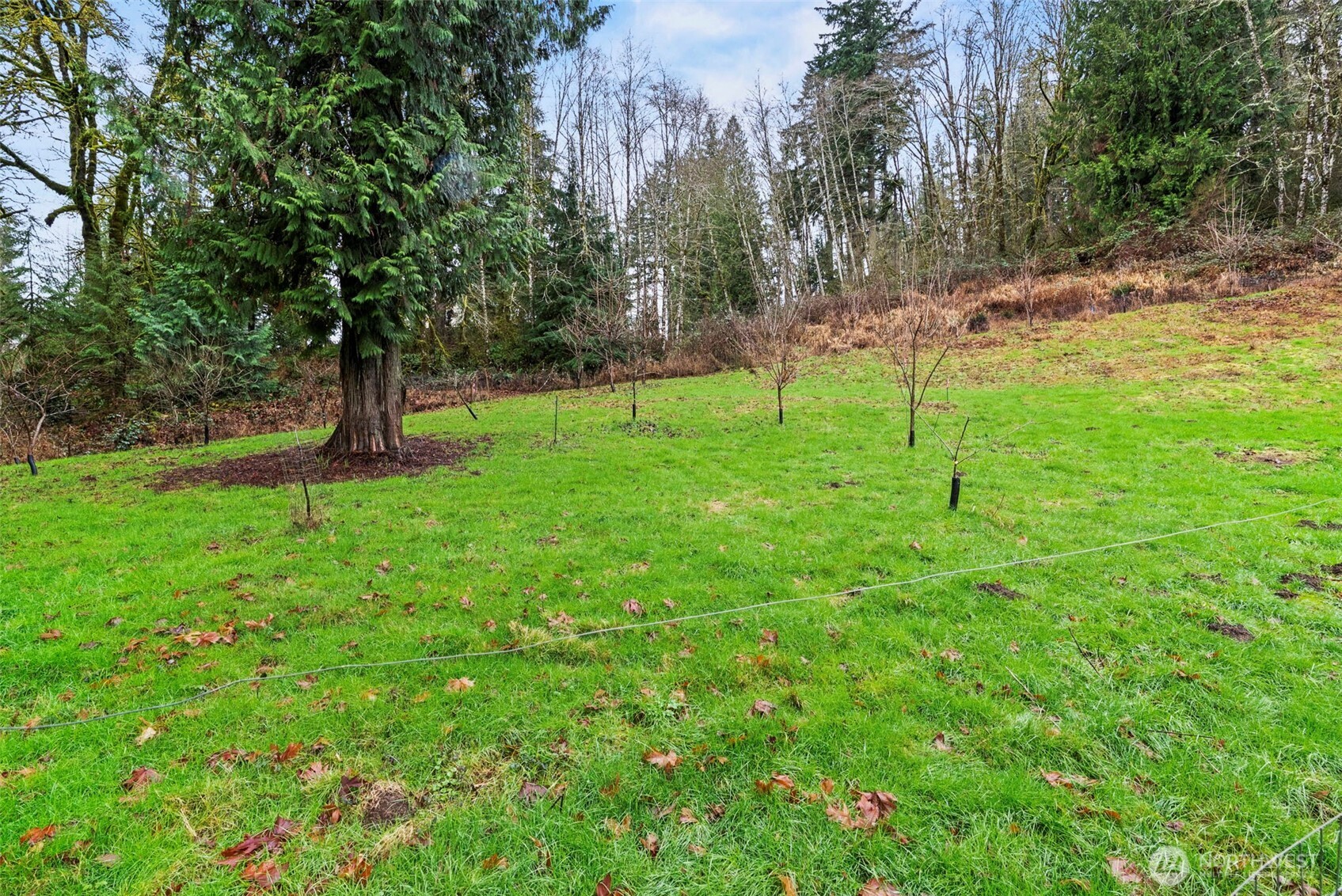 2549 Hazel Dell Road Castle Rock, WA 98611 - Photo 32 of 37