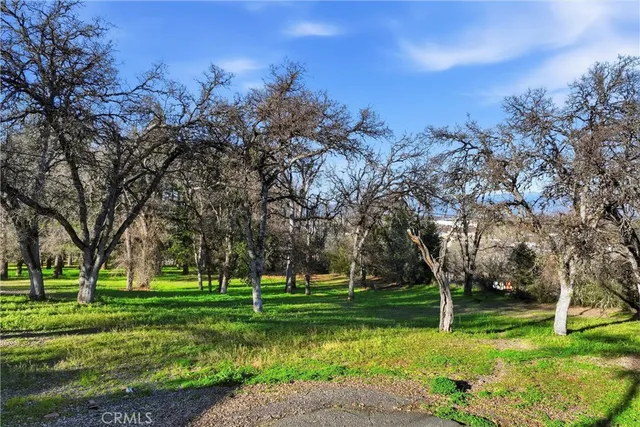 a garden view with a fountain