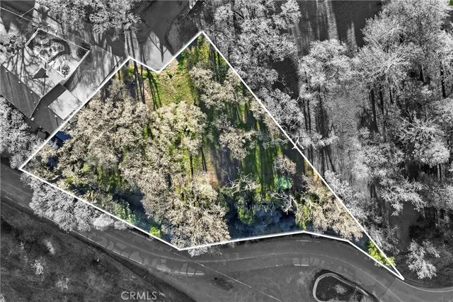 a view of a yard in a backyard