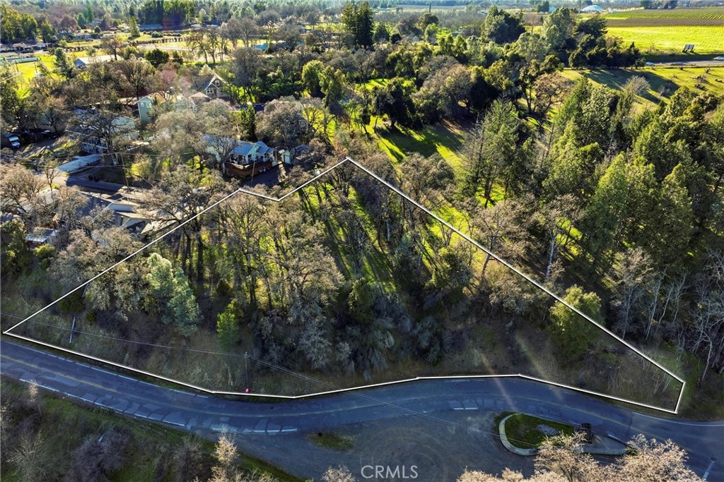 5300 McKee Road Kelseyville, CA 95451 - Photo 6 of 13