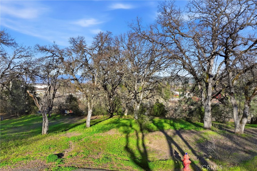 5300 McKee Road Kelseyville, CA 95451 - Photo 7 of 13 a view of an outdoor space with a lake view