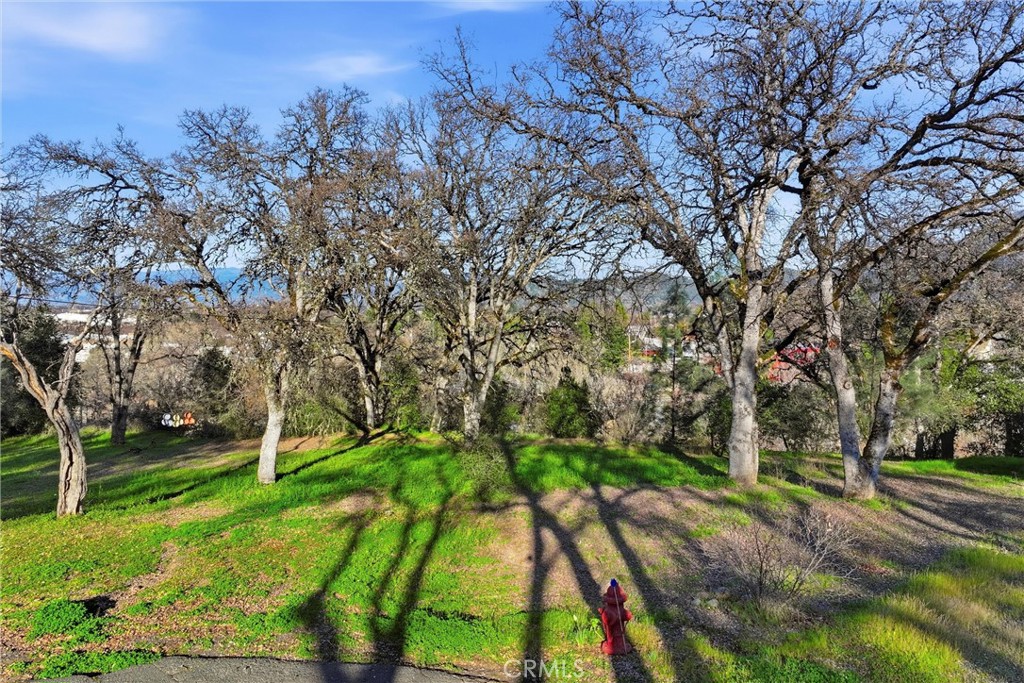 5300 McKee Road Kelseyville, CA 95451 - Photo 9 of 13 a backyard of a house with lots of green space