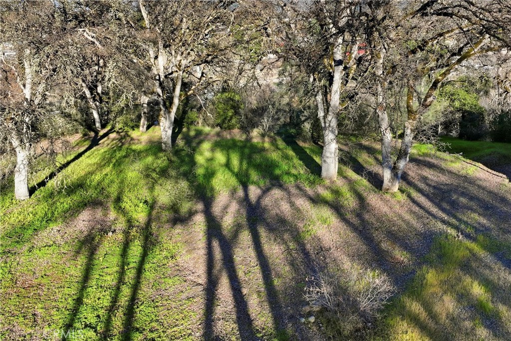 5300 McKee Road Kelseyville, CA 95451 - Photo 10 of 13 a view of a yard