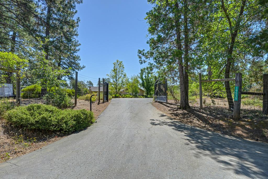 19539 Mountain Lion Road Grass Valley, CA 95945 - Photo 4 of 74