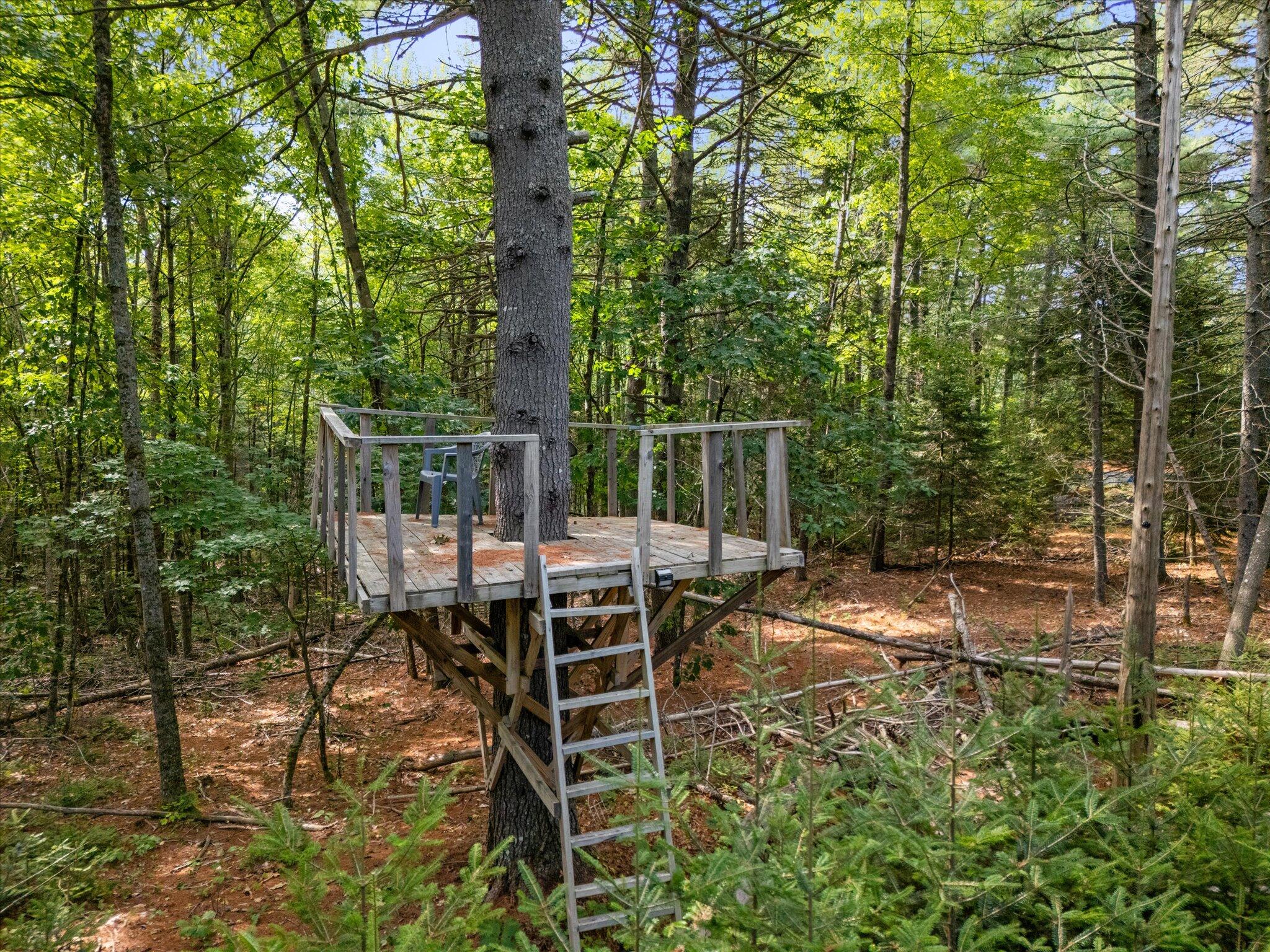 415 Monroe Road Hampden, ME 04444 - Photo 55 of 90 58-Tree house