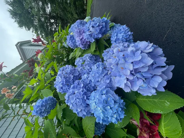 $525,000 | 415 Monroe Road, Hampden, ME 04444