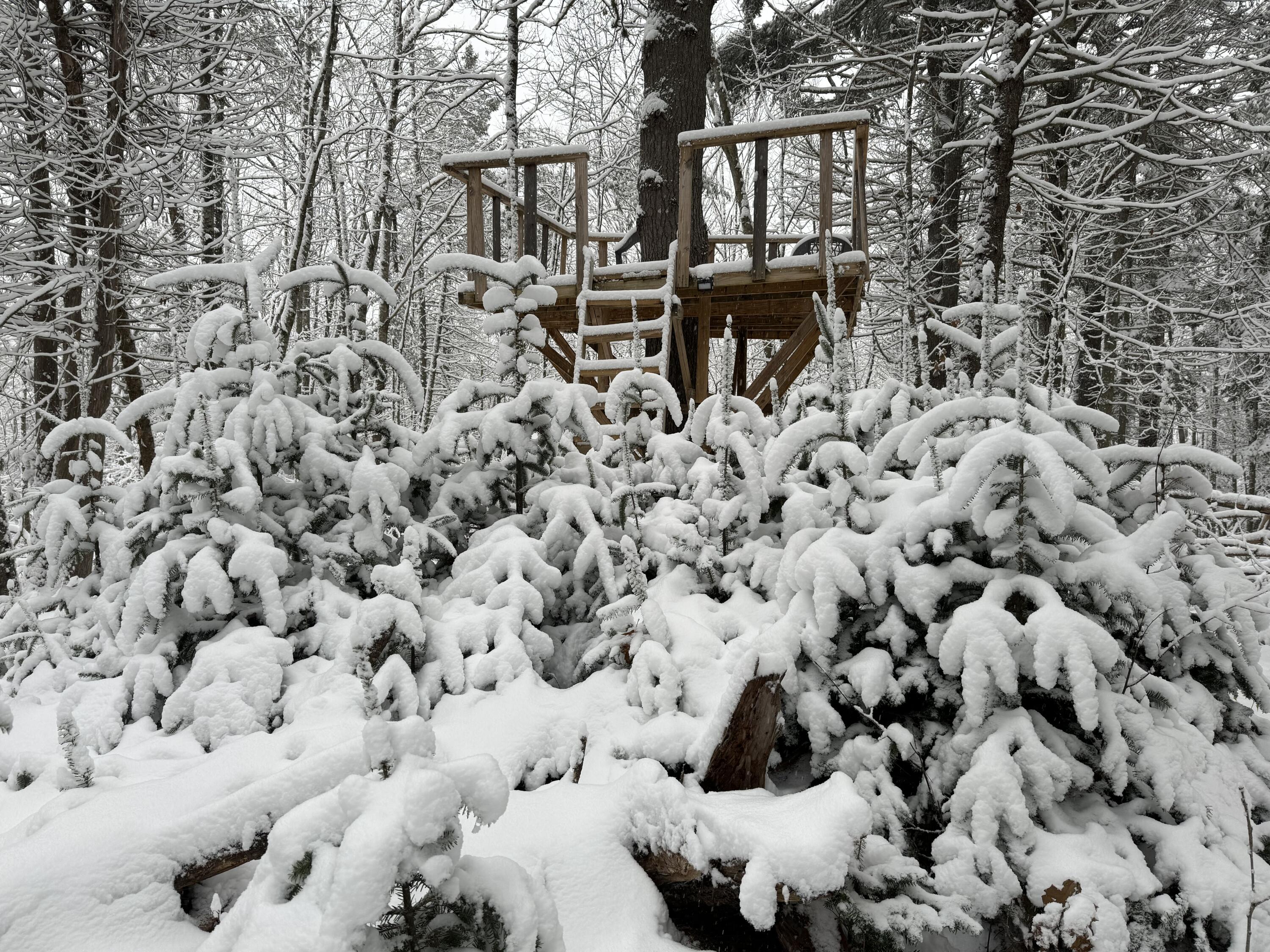 415 Monroe Road Hampden, ME 04444 - Photo 67 of 90 IMG_2885