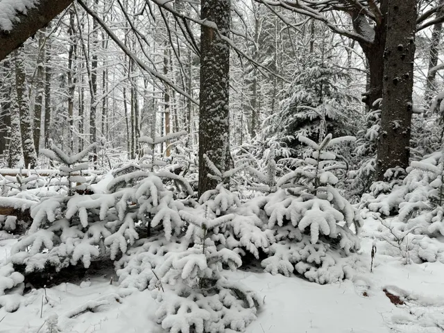 $525,000 | 415 Monroe Road, Hampden, ME 04444