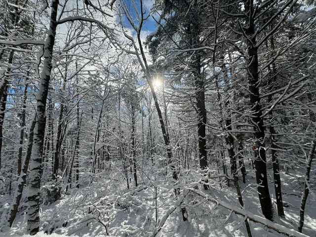 $525,000 | 415 Monroe Road, Hampden, ME 04444