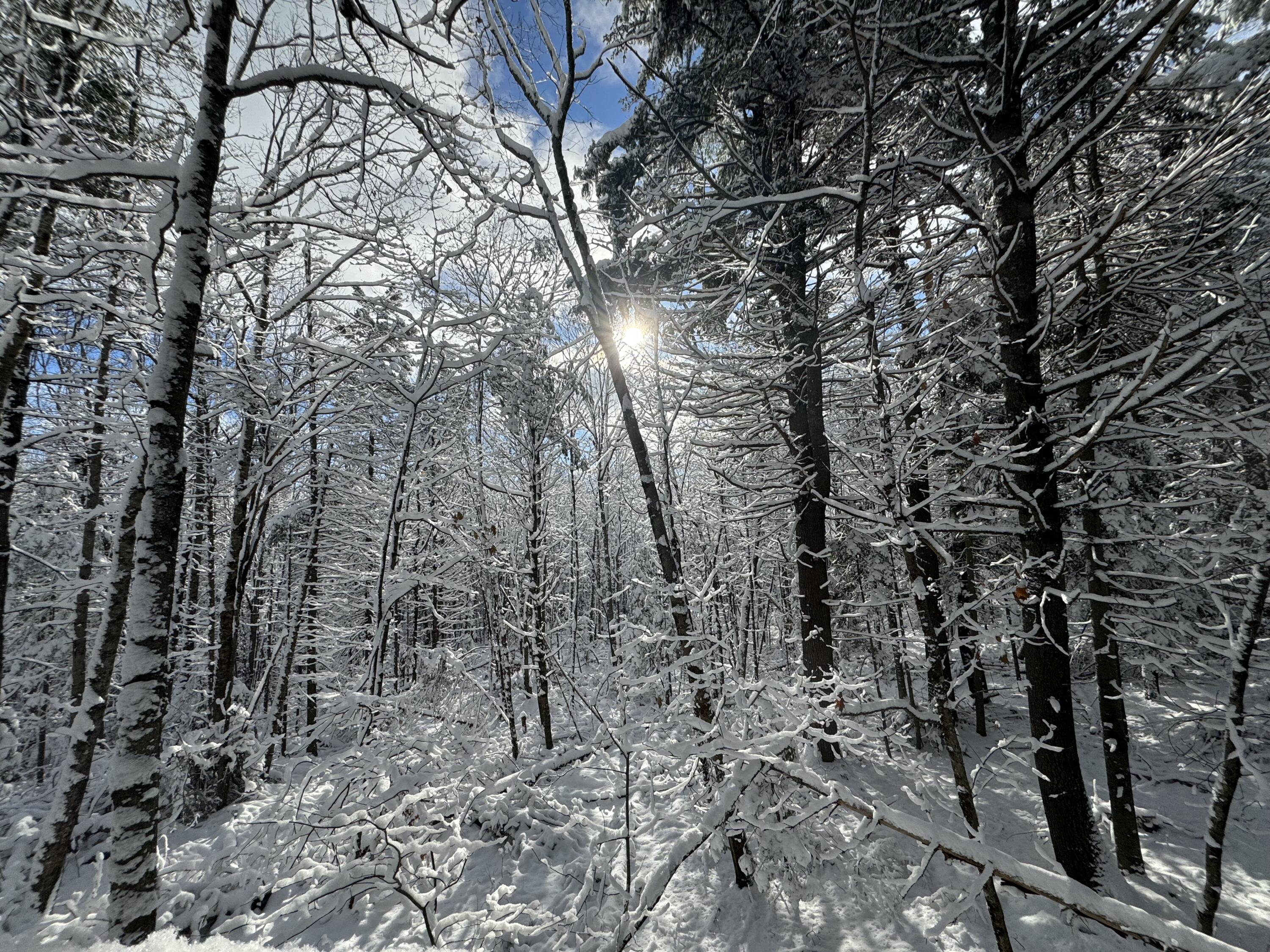 415 Monroe Road Hampden, ME 04444 - Photo 69 of 90 IMG_2944