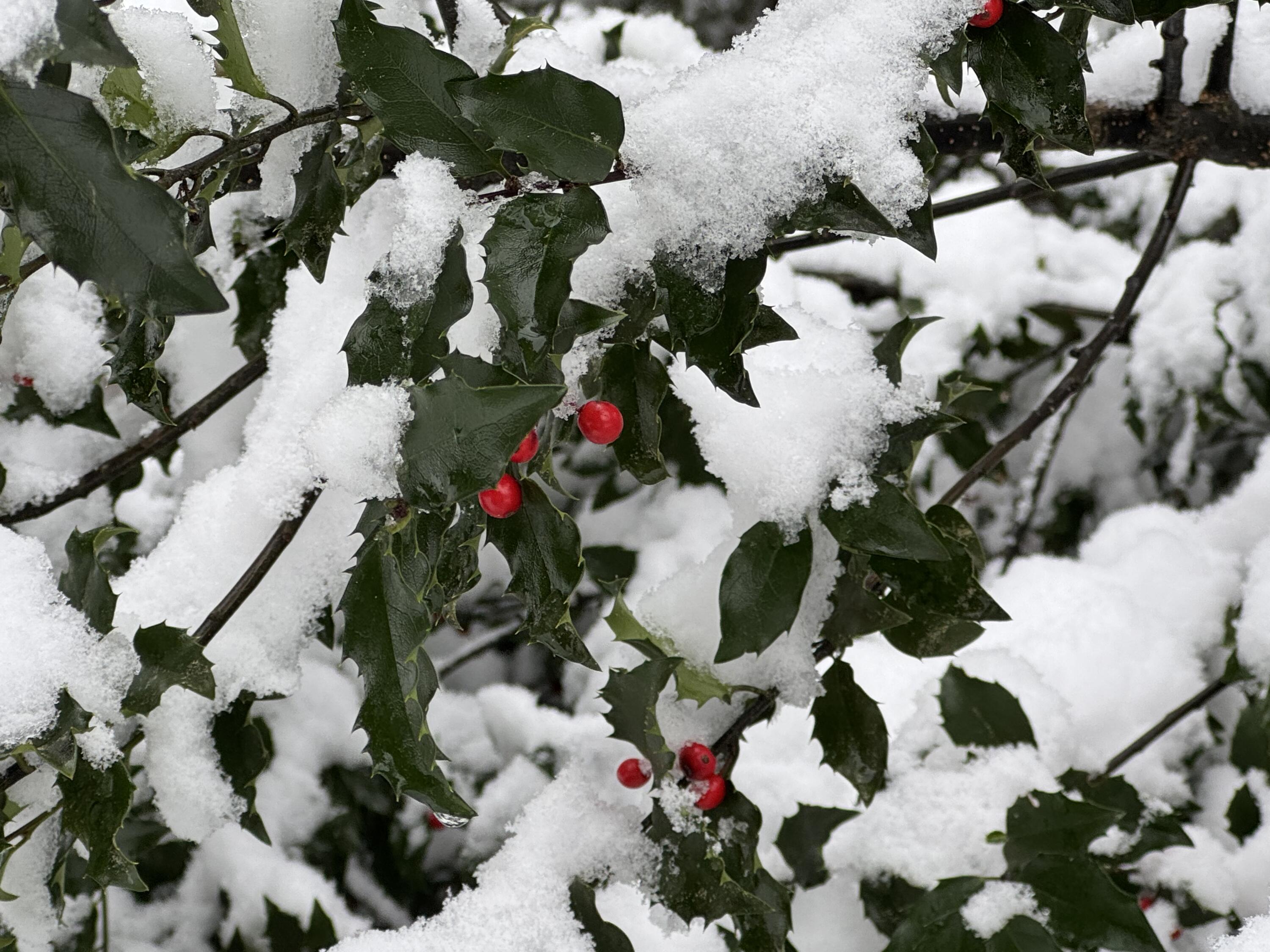 415 Monroe Road Hampden, ME 04444 - Photo 70 of 90 IMG_3054