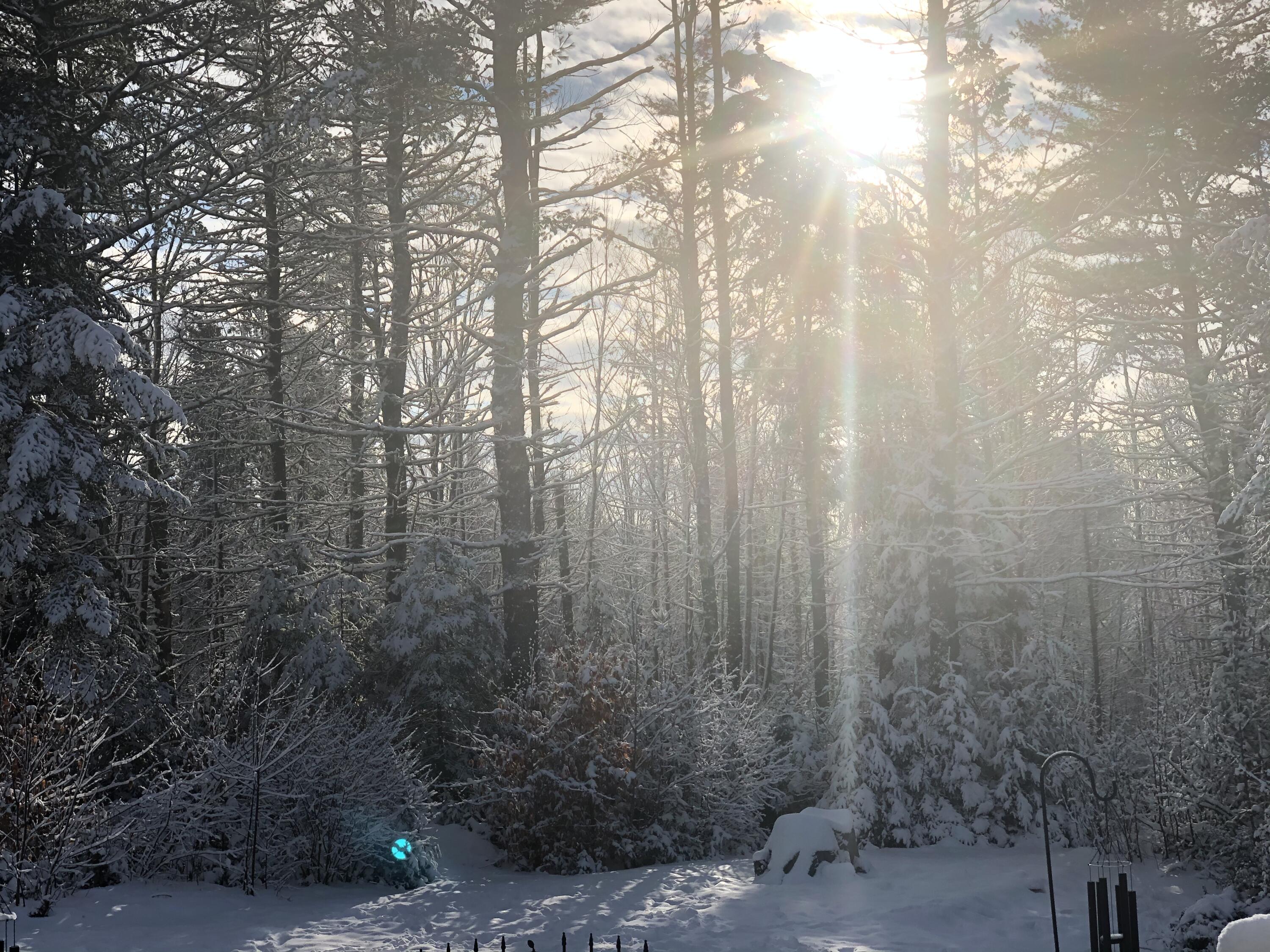 415 Monroe Road Hampden, ME 04444 - Photo 71 of 90 IMG_3586