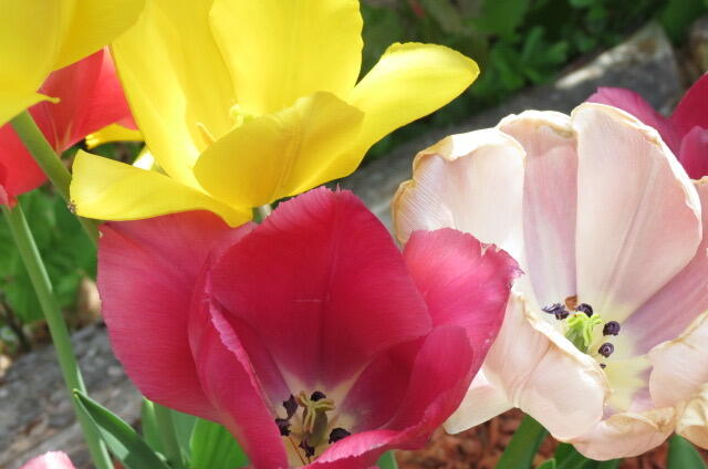 415 Monroe Road Hampden, ME 04444 - Photo 72 of 90 IMG_5163