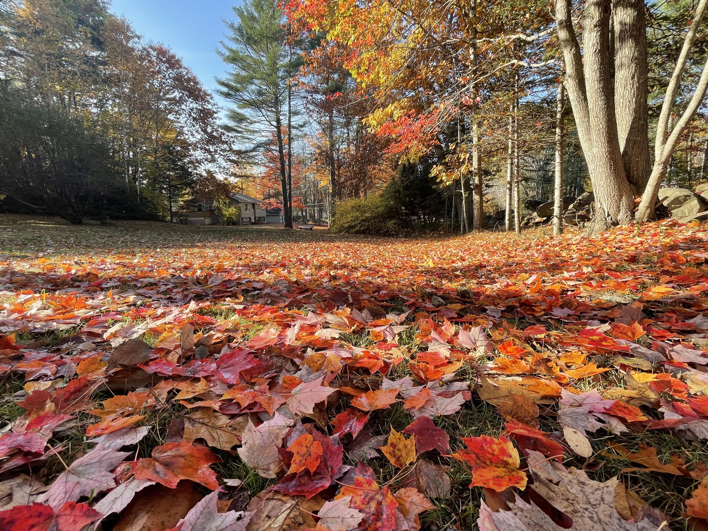 415 Monroe Road Hampden, ME 04444 - Photo 75 of 90 IMG_5819