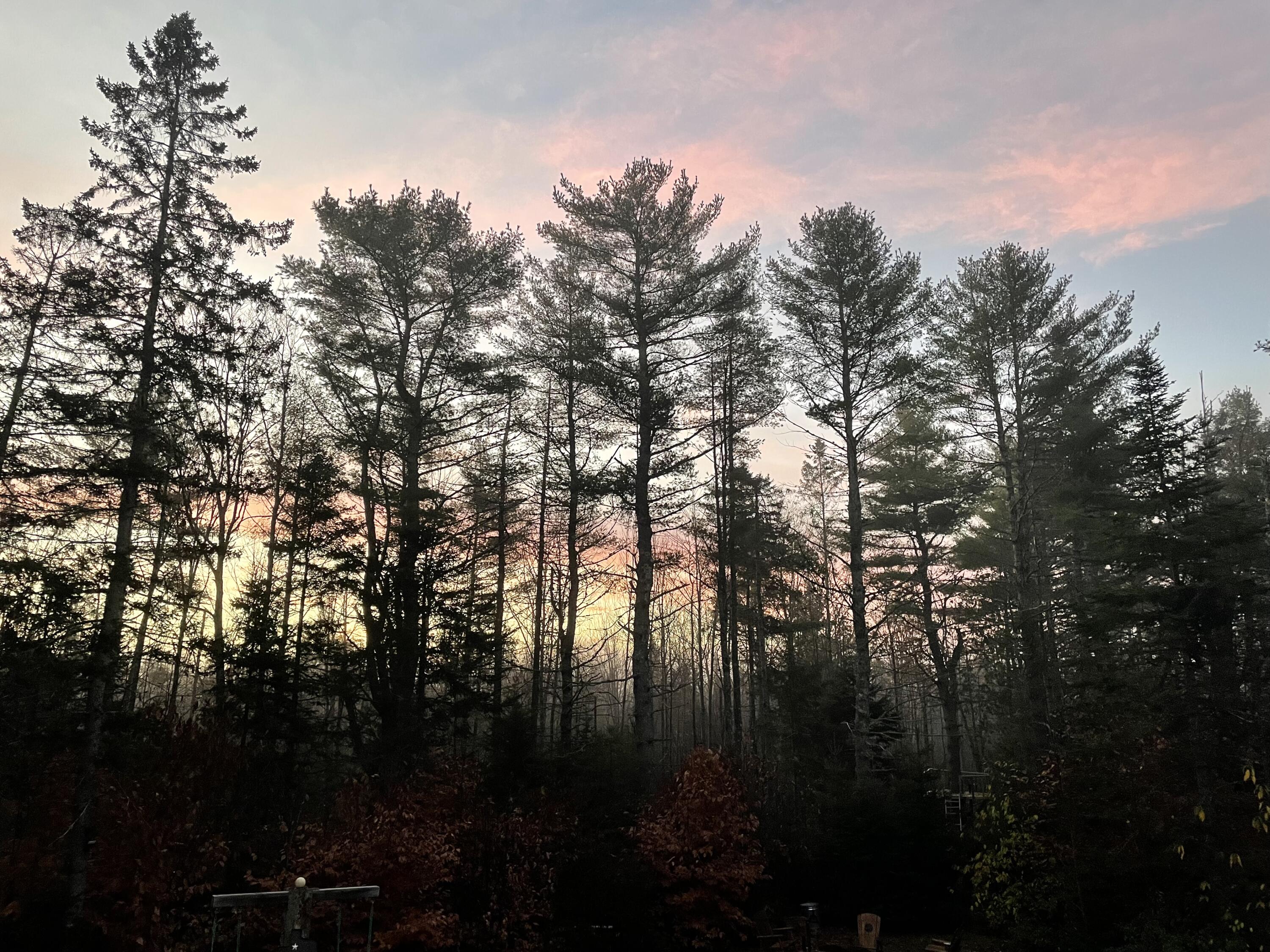 415 Monroe Road Hampden, ME 04444 - Photo 76 of 90 IMG_6278