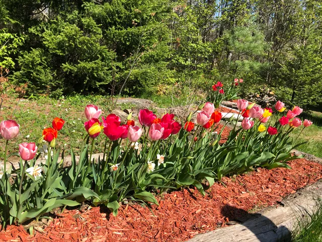 $525,000 | 415 Monroe Road, Hampden, ME 04444