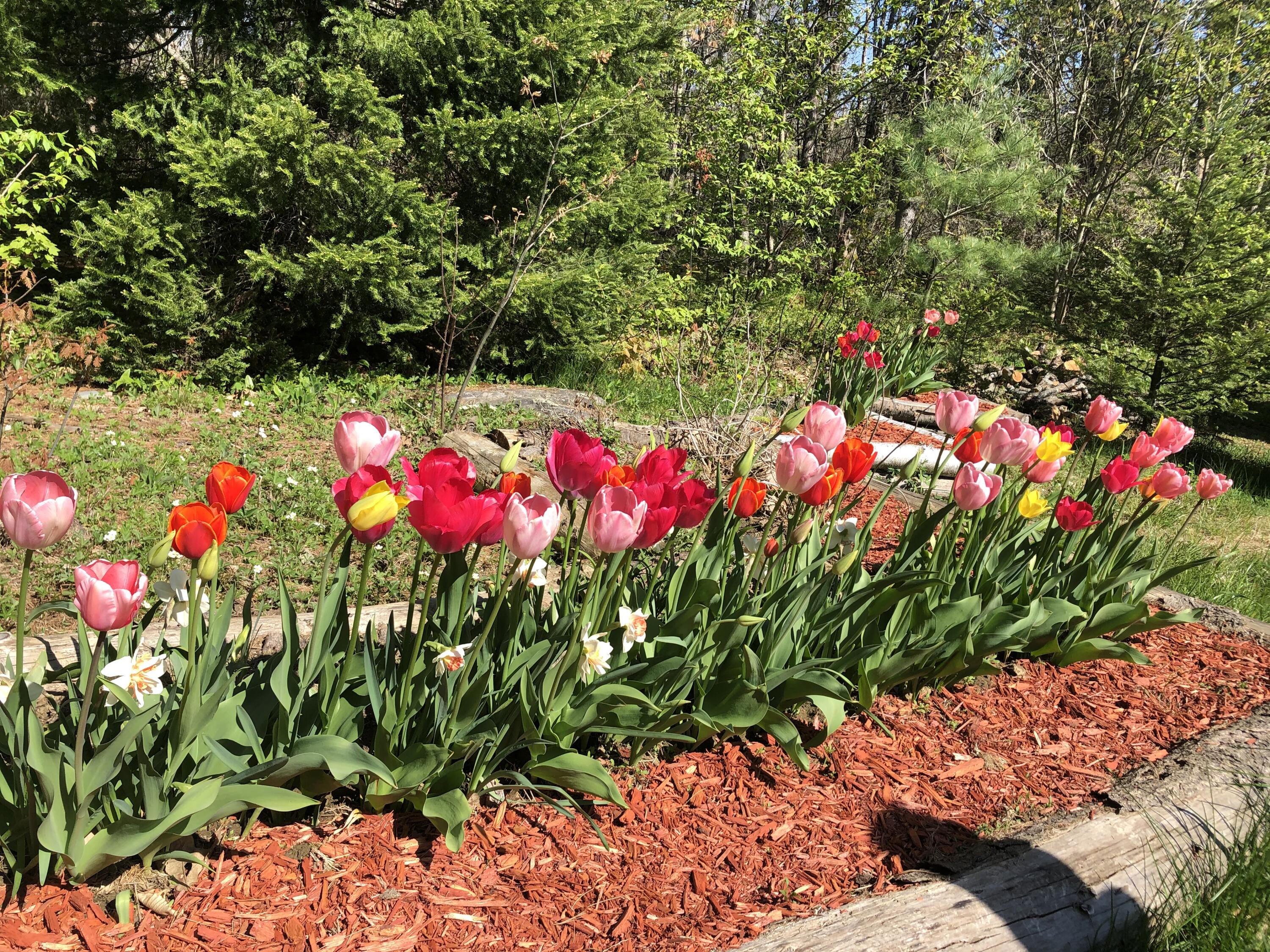 415 Monroe Road Hampden, ME 04444 - Photo 77 of 90 IMG_7385