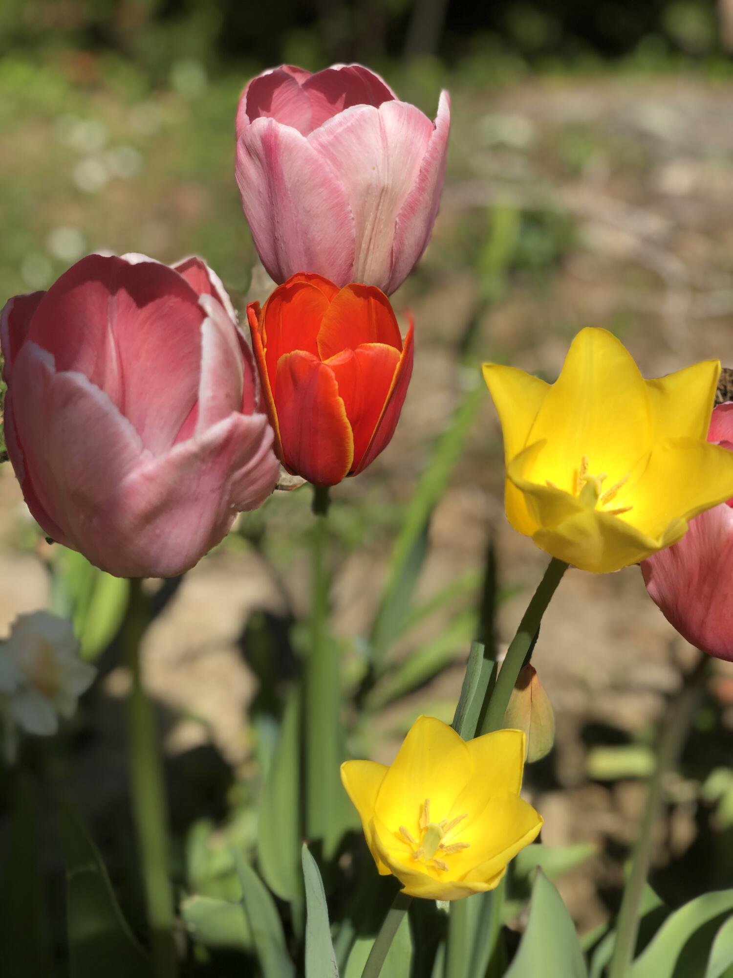 415 Monroe Road Hampden, ME 04444 - Photo 78 of 90 IMG_7386