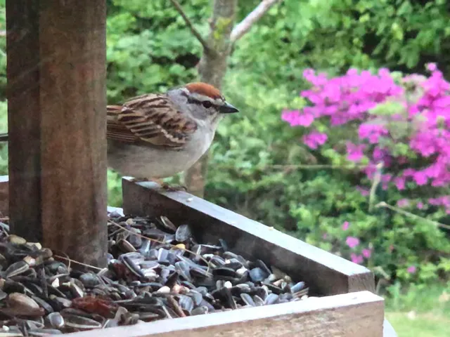 $525,000 | 415 Monroe Road, Hampden, ME 04444