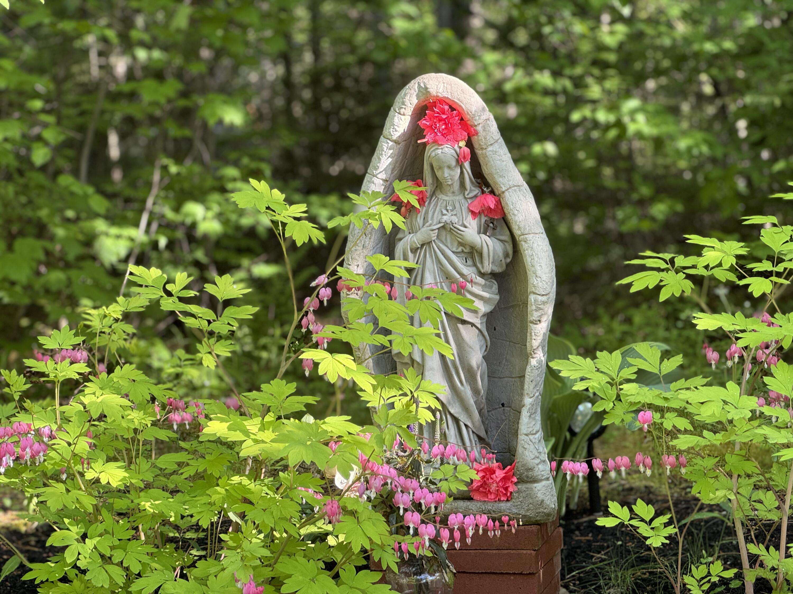 415 Monroe Road Hampden, ME 04444 - Photo 83 of 90 IMG_8241