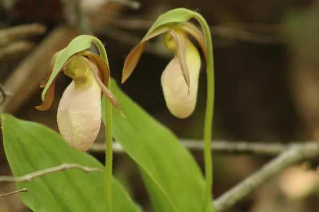 $525,000 | 415 Monroe Road, Hampden, ME 04444