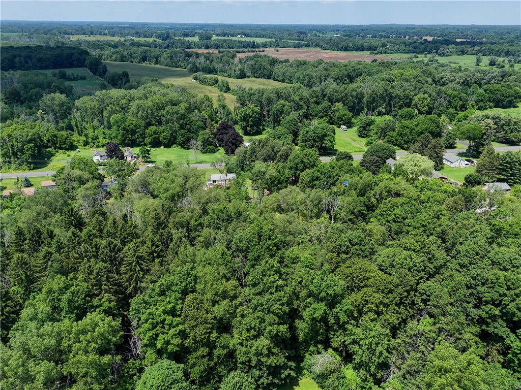 4919 Upper Holley Road Clarendon, NY 14470 - Photo 49 of 50