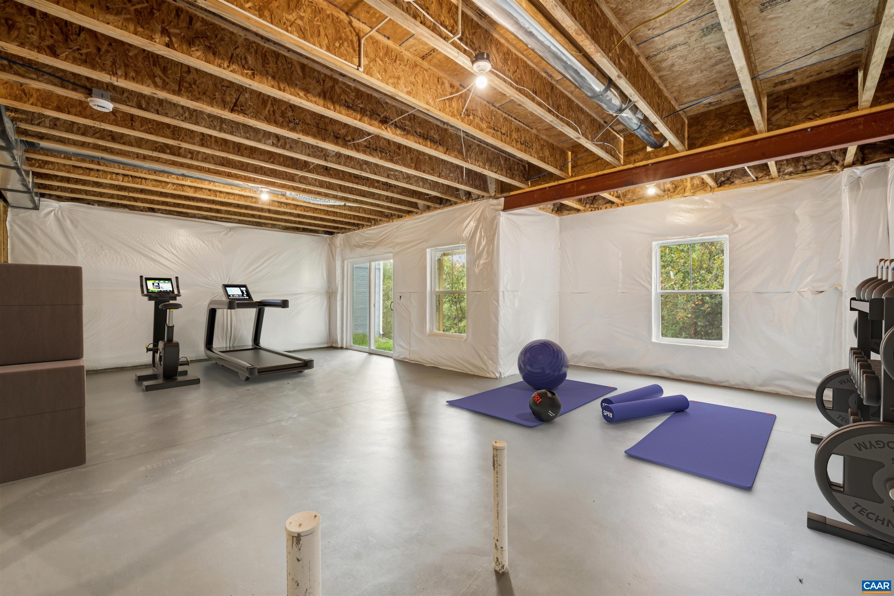 3035 Rambling Brk Lane Crozet, VA 22932 - Photo 18 of 45 a room with gym equipment