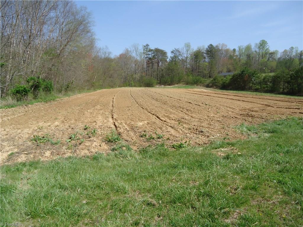 1052 Carson Road Pilot Mountain, NC 27041 - Photo 24 of 29 Garden Area