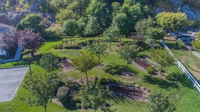 a view of a garden with plants