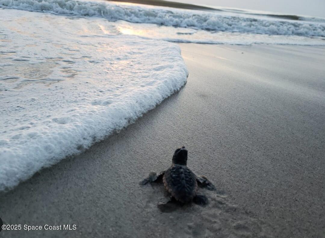3037 S Highway, Unit 2C Melbourne Beach, FL 32951 - Photo 46 of 48 a view of a lake view
