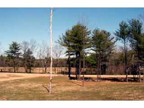 341 Sandogardy Pond Road Northfield, NH 03276 - Photo 3 of 5
