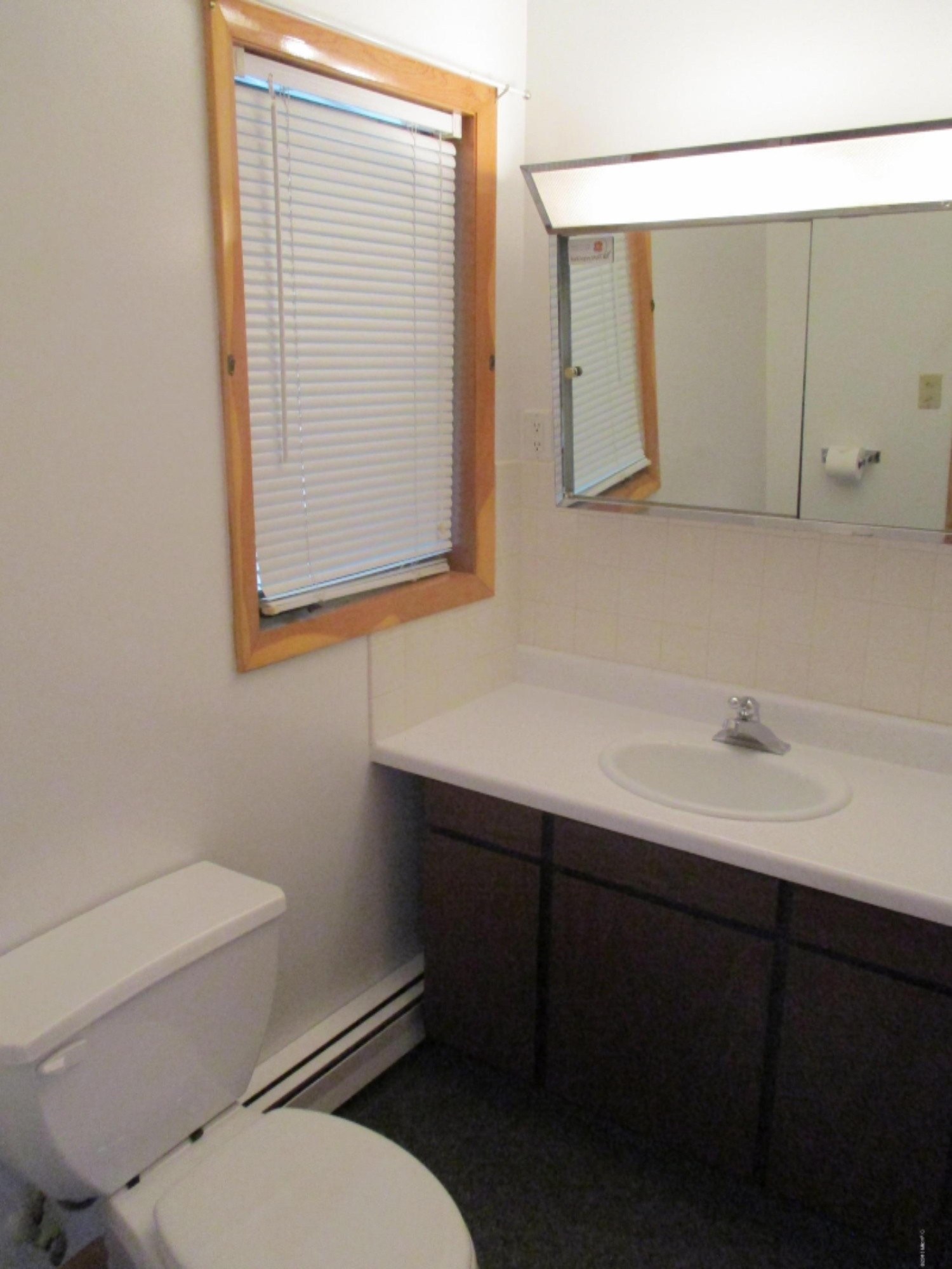 1909 Lenz Road Ludington, MI 49431 - Photo 13 of 22 Main floor full bath