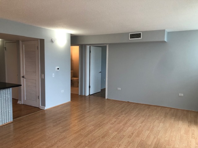 3115 South Michigan Avenue, Unit 101 Chicago, IL 60616 - Photo 11 of 17