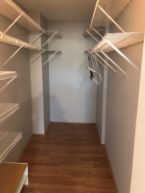 3115 South Michigan Avenue, Unit 101 Chicago, IL 60616 - Photo 12 of 17