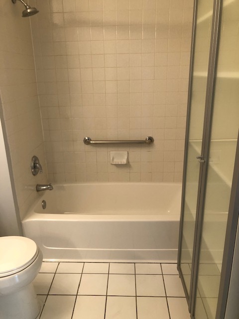 3115 South Michigan Avenue, Unit 101 Chicago, IL 60616 - Photo 15 of 17