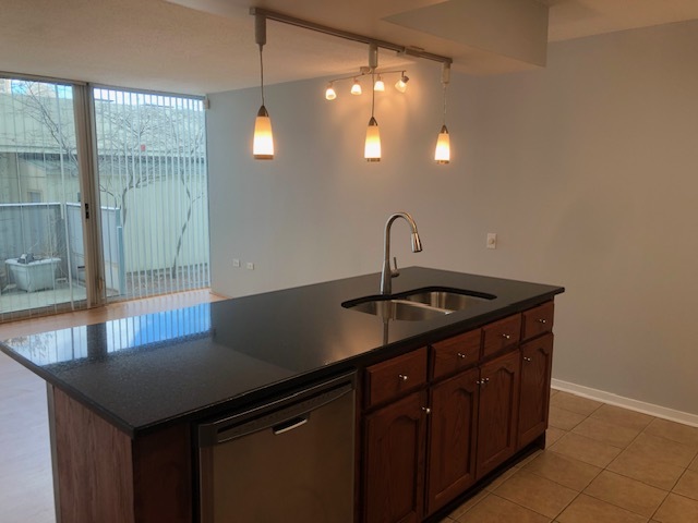 3115 South Michigan Avenue, Unit 101 Chicago, IL 60616 - Photo 2 of 17