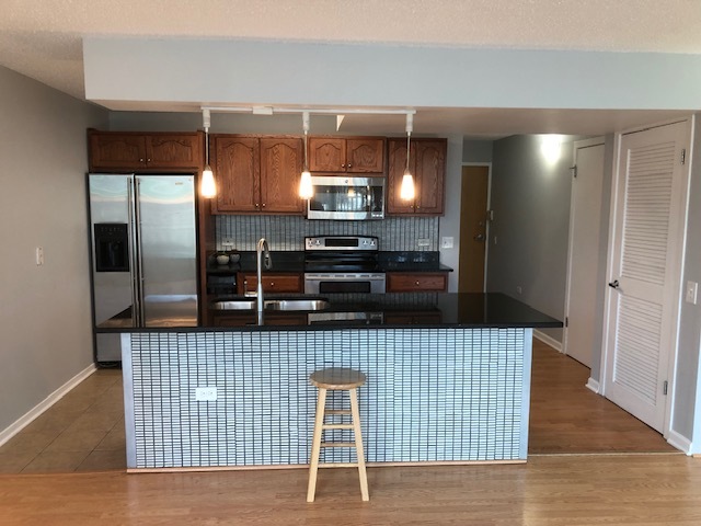 3115 South Michigan Avenue, Unit 101 Chicago, IL 60616 - Photo 3 of 17