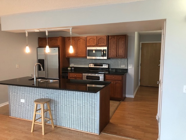 3115 South Michigan Avenue, Unit 101 Chicago, IL 60616 - Photo 4 of 17