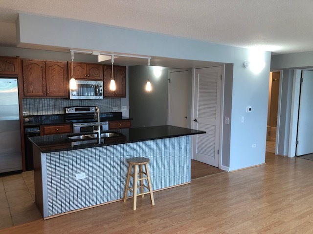 3115 South Michigan Avenue, Unit 101 Chicago, IL 60616 - Photo 5 of 17