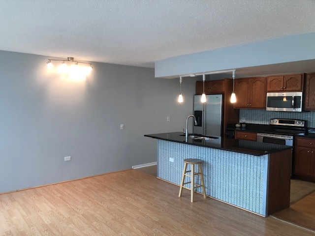 3115 South Michigan Avenue, Unit 101 Chicago, IL 60616 - Photo 6 of 17
