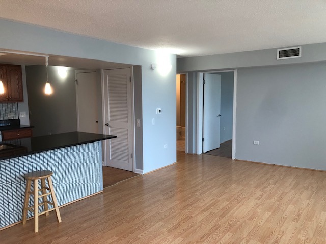 3115 South Michigan Avenue, Unit 101 Chicago, IL 60616 - Photo 7 of 17