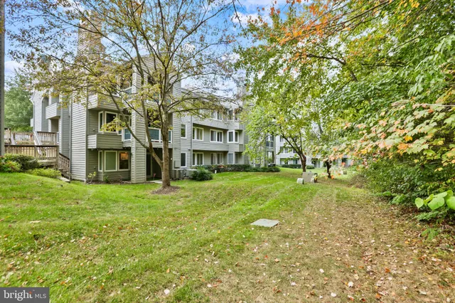 a view of a big yard with large trees