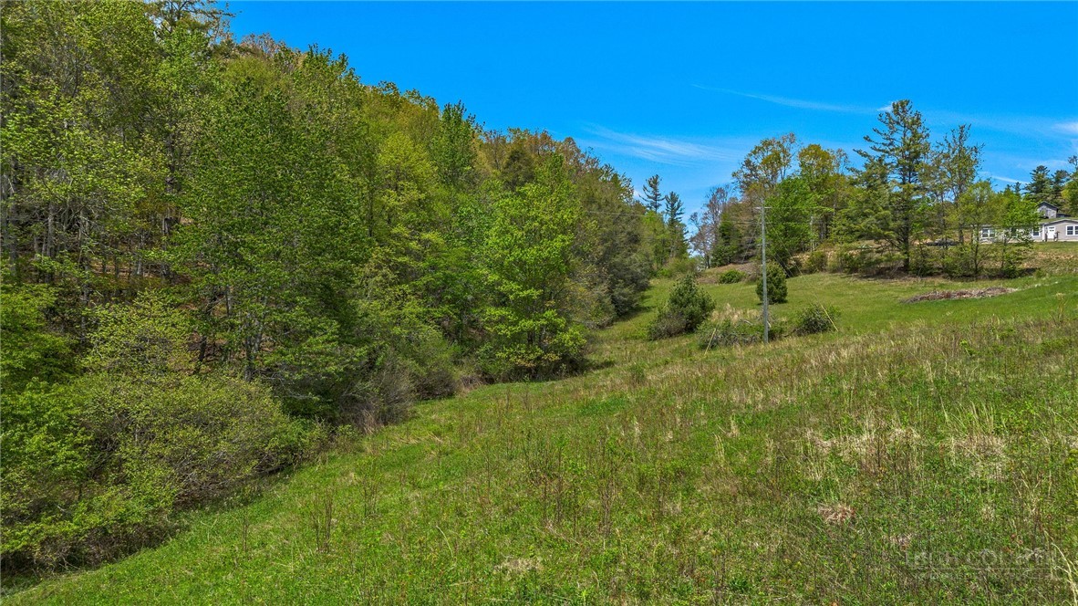 2284 Idlewild Road West Jefferson, NC 28694 - Photo 11 of 23 a view of a large yard with lots of green space