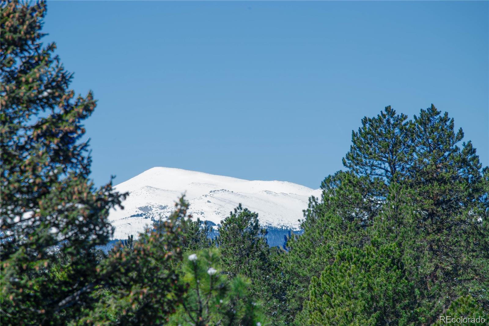 92 Whiskey Jay Hill Road Evergreen, CO 80439 - Photo 25 of 45 a view of a tree in front of a yard