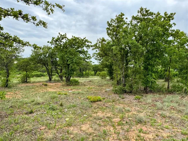 a view of a yard with a tree