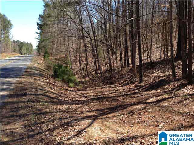 0 Woolfolk Road, Unit 3 ACRES Munford, AL 36268 - Photo 6 of 24