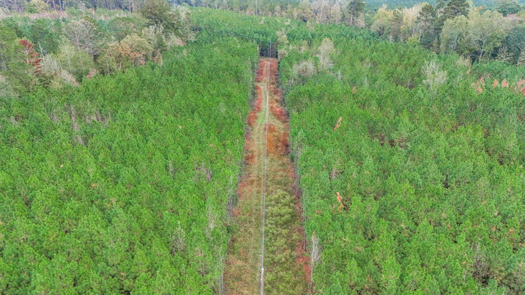 3162 Reeves Road Southeast Bogue Chitto, MS 39629 - Photo 21 of 21 Photo 21
