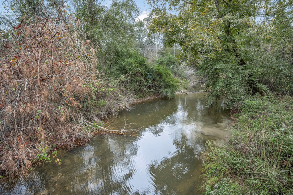 3162 Reeves Road Southeast Bogue Chitto, MS 39629 - Photo 7 of 21 Photo 7