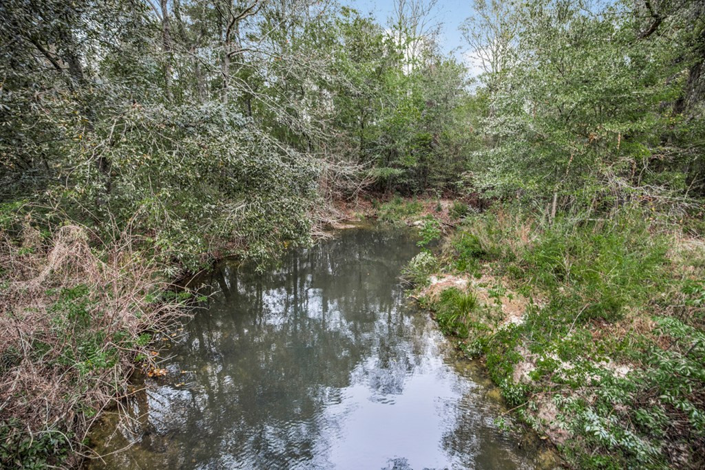 3162 Reeves Road Southeast Bogue Chitto, MS 39629 - Photo 8 of 21 Photo 8